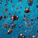 Aquar.io Aquar.io