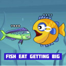 Fish Eat Getting Big Fish Eat Getting Big