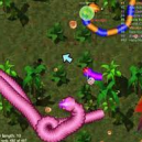 Real Snakes Real Snakes